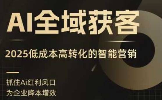 AI全域获客实训营，2025低成本高转化的智能营销，精准找客，高效营销-云推网创项目库