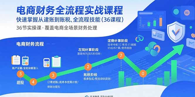 电商财务全流程实战课程：快速掌握从建账到报税的全流程技能(36节课-云推网创项目库