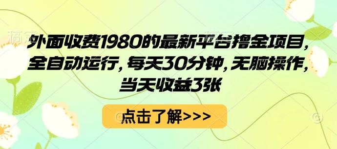 外面收费1980的最新平台撸金项目，全自动运行，每天30分钟，无脑操作，当天收益3张【揭秘】-云推网创项目库