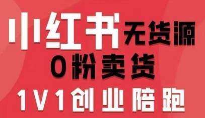 小红书无货源0粉电商课，开店准备、选品策略、笔记撰写、视频剪辑、数据分析、账号打造、资料文档-云推网创项目库