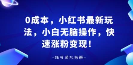 0成本，小红书最新玩法，小白无脑操作，快速涨粉变现-云推网创项目库