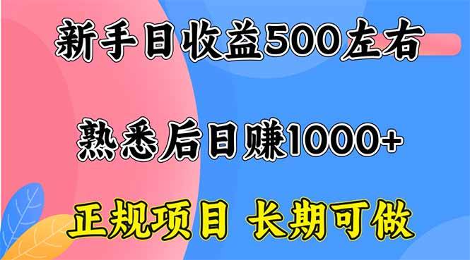 新手日收益500+ 正规项目 长期可做-云推网创项目库