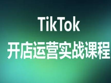 TikTok开店运营实战课程，TK跨境电商实操全流程-云推网创项目库