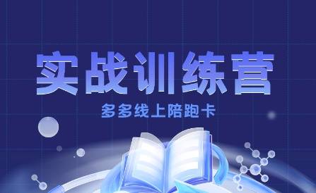 多多实战训练营，从0到1打造一个真正賺钱的店铺-云推网创项目库