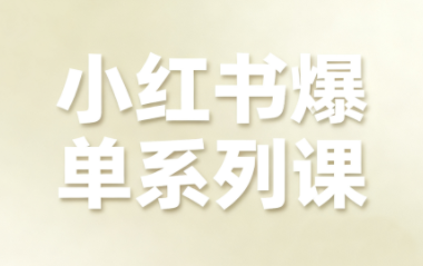 尼采老师·小红书爆单系列课-云推网创项目库