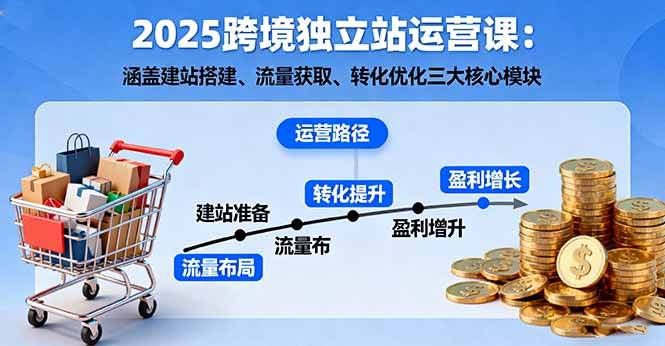 2025跨境独立站运营课：涵盖建站搭建、流量获取、转化优化三大核心模块-云推网创项目库