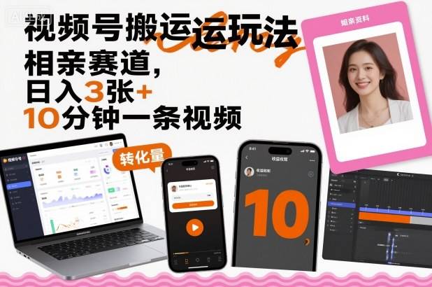视频号搬运玩法，相亲赛道，日入3张+，10分钟一条视频-云推网创项目库