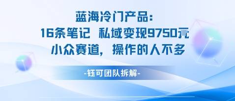 蓝海项目：16条笔记私域变现9750米小众赛道操作的人不多-云推网创项目库