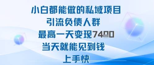 2025年小白都能做的私域项目引流负债人群最高一天变现1k+高变现难度低当天就能见到钱上手快-云推网创项目库