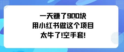一天挣了9张用小红书做这个项目太牛了，空手套-云推网创项目库