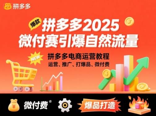 拼多多2025微付费引爆自然流量，拼多多电商运营教程，运营、推广、打爆品、微付费(更新)-云推网创项目库
