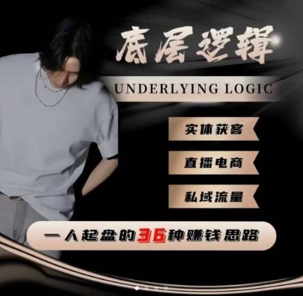 一个人起盘的底层逻辑,私域流量-直播电商-实体获客,一人起盘的36种賺钱思路-云推网创项目库