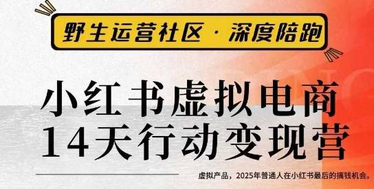 小红书虚拟电商14天变现训练营3.0，​虚拟产品，2025年普通人在小红书最后的搞钱机会-云推网创项目库