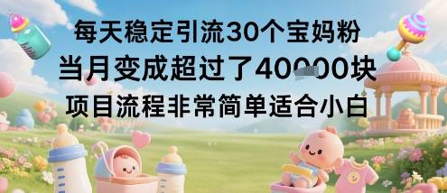 每天稳定引流30个宝妈粉当月变成超过了1W+项目流程非常简单适合小白-云推网创项目库