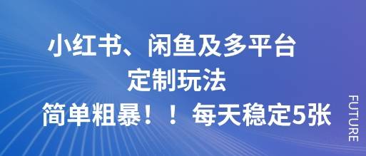 小红书、闲鱼及多平台定制玩法简单粗暴！每天稳定5张-云推网创项目库