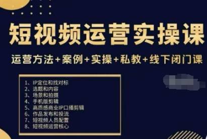 短视频运营实操课，运营方法+案例+实操+私教+线下闭门课-云推网创项目库