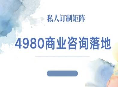4980商业咨询师落地课程-ip运营高客单教程-云推网创项目库