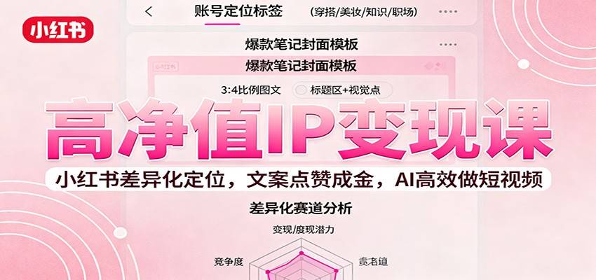 高净值IP变现课：小红书差异化定位，文案点赞成金， AI高效做短视频-云推网创项目库
