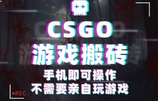 CSGO游戏挂G捡漏，单日扫货5张+，年底小高峰上车可吃肉，手机即可操作，兼职副业创业网创【揭秘】-云推网创项目库