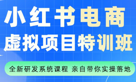 陆明明·小红书虚拟项目特训班(更新9月)-云推网创项目库