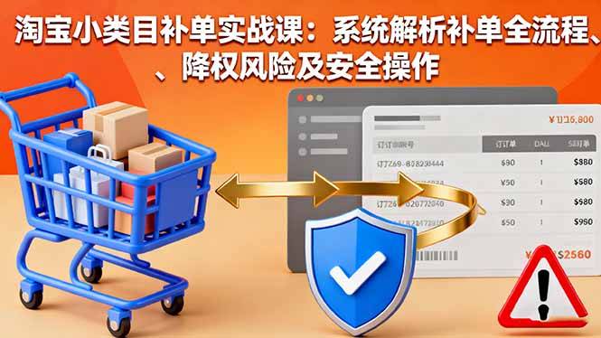 淘宝小类目补单实战课：系统解析补单全流程、降权风险及安全操作-云推网创项目库