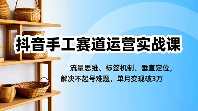 抖音手工赛道运营实战课,流量思维、标签机制、垂直定位,解决不起号难题,单月变现破3万-云推网创项目库