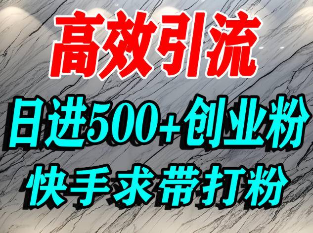 怎么打创业粉？快手求带视角精准引流创业粉，宝妈、学生群体日进500+精准流量-云推网创项目库