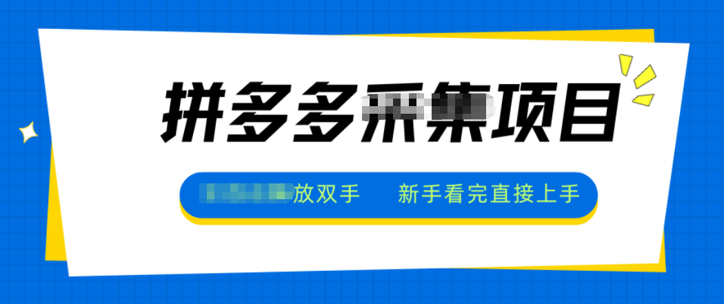 拼多多电商采集，一小时50+，操作简单，零投资-云推网创项目库