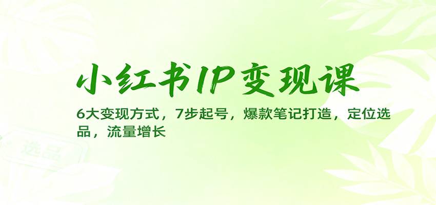 小红书IP变现课：6大变现方式，7步起号，爆款笔记打造，定位选品，流量增长-云推网创项目库