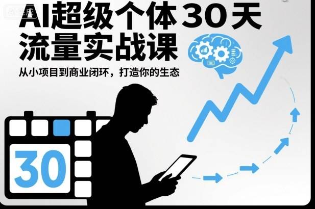 AI超级个体30天流量实战课，从小项目到商业闭环，打造你的生态-云推网创项目库