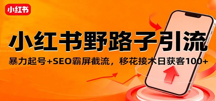 小红书野路子引流，暴力起号+SEO霸屏截流，移花接木日获客100+-云推网创项目库