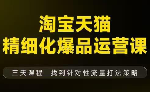 猫课子幽·淘宝天猫精细化爆品运营【音频+字幕+文档】(9月12-14杭州线下课)-云推网创项目库