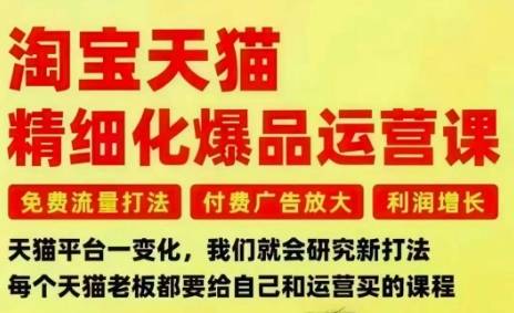 淘宝天猫精细化爆品运营课，免费流量打法-付费广告放大-利润增长-三大核心痛点，一次全部解决-云推网创项目库