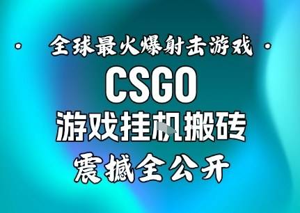 【年底大揭秘】基于全球最火爆的射击CSGO游戏挂G搬砖，日入5张+，震撼公开-云推网创项目库