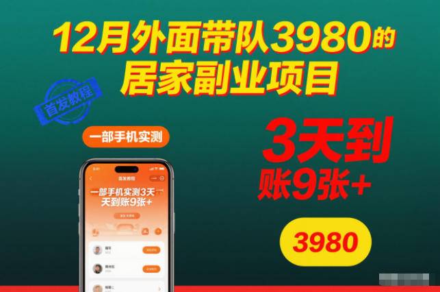 12月外面带队3980的居家副业项目,一部手机实测3天到账9张+,首发教程【揭秘】-云推网创项目库