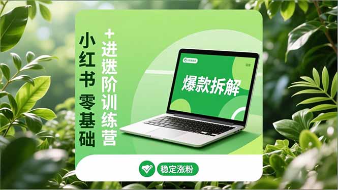 小红书零基础+高阶训练营:安全养号、爆款拆解、长效运营,实现稳定涨粉与变现-云推网创项目库