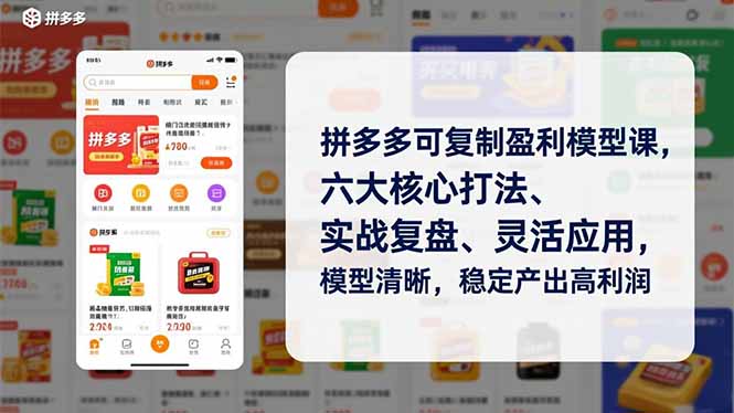 拼多多可复制盈利模型课，六大核心打法、实战复盘、灵活应用，模型清晰，稳定产出高利润-云推网创项目库