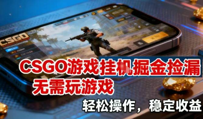 CSGO游戏挂G掘金捡漏，不需要玩游戏，操作简单，收益稳定【揭秘】-云推网创项目库
