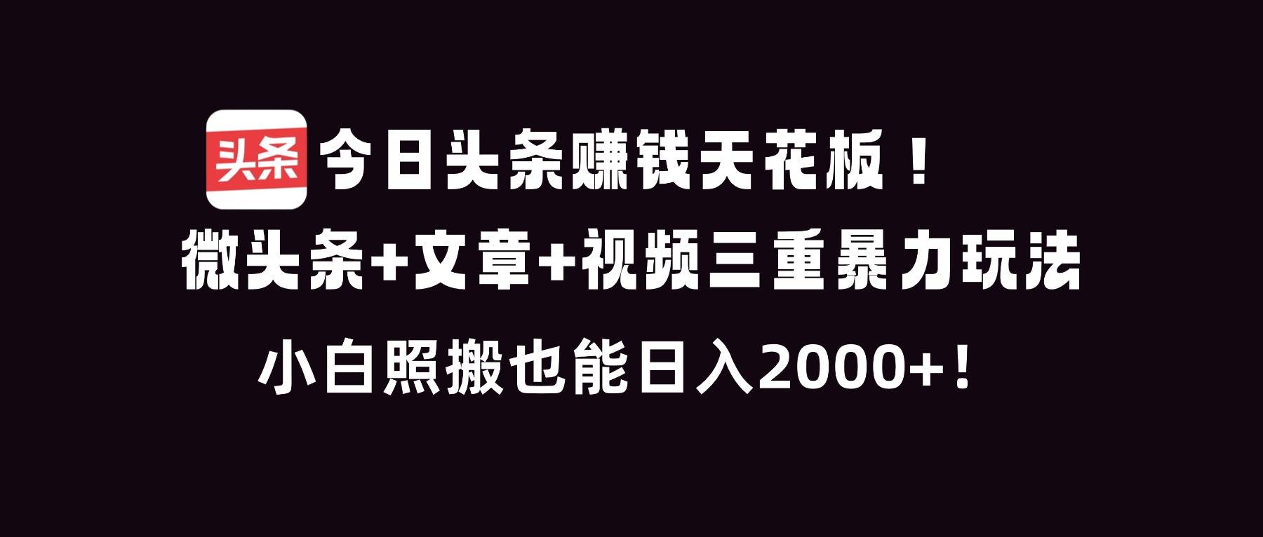 今日头条赚钱天花板！微头条+文章+视频三重暴利玩法，小白照搬也能日人2000+-云推网创项目库