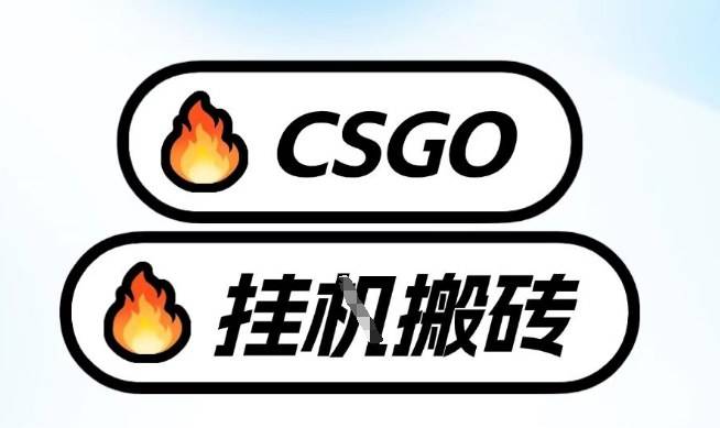 真全网独家CSGO挂G，最新玩法,单日捡漏1K+，不用电脑，不用打游戏【揭秘】-云推网创项目库