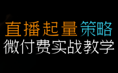半野老师·直播带货起量与微付费必学课视频号(更新2026)-云推网创项目库