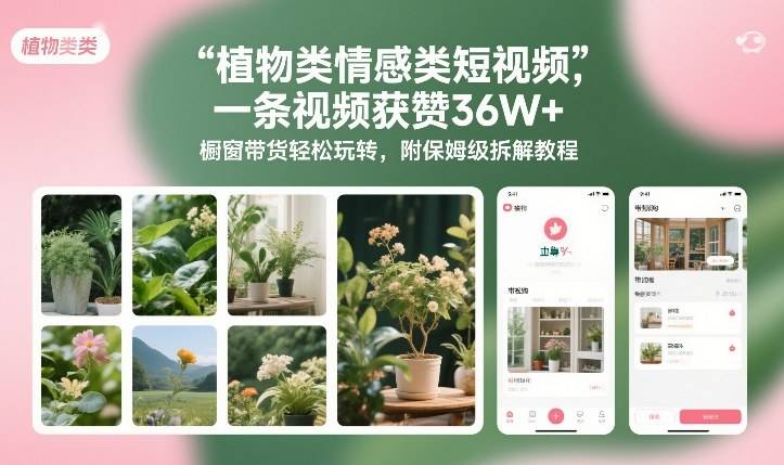 植物类情感类短视频，一条视频获赞36W+，橱窗带货轻松玩转，附保姆级拆解教程-云推网创项目库