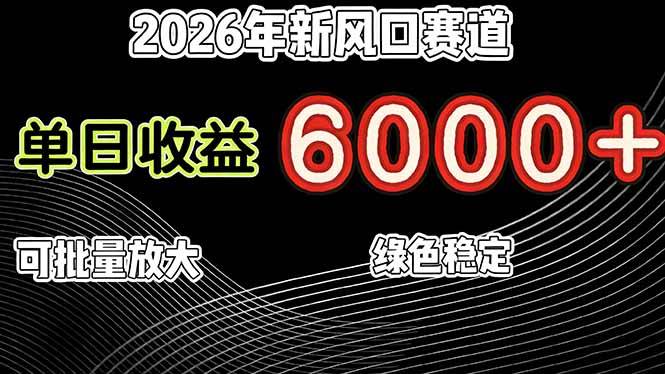 2026年新风口赛道，当日6000+以上，可批量放大，月收入20万+，长期绿色稳定的项目-云推网创项目库