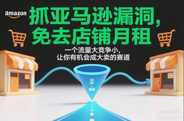 抓亚马逊漏洞,免去店铺月租,一个流量大竞争小,让你有机会成大卖的赛道-云推网创项目库