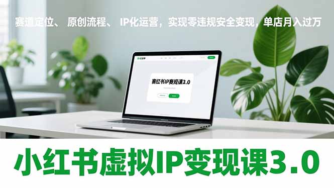 小红书虚拟IP变现课3.0,赛道定位、原创流程、IP化运营,实现零违规安全变现,单店月入过万-云推网创项目库