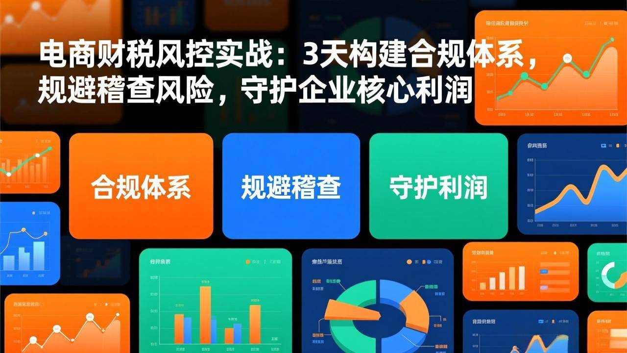 电商财税风控实战：3天构建合规体系，规避稽查风险，守护企业核心利润-云推网创项目库