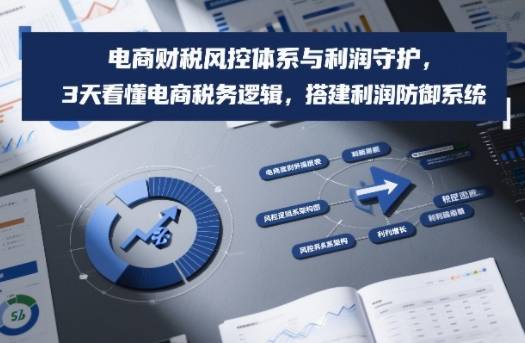 电商财税风控体系与利润守护，3天看懂电商税务逻辑，搭建利润防御系统-云推网创项目库