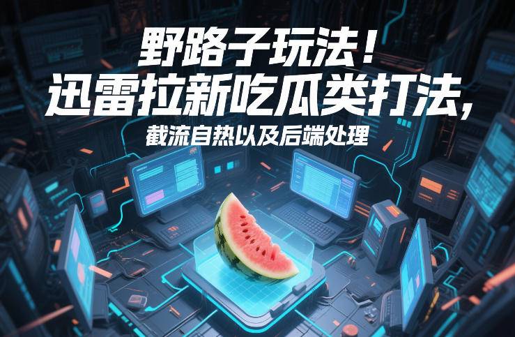 野路子玩法！迅雷拉新吃瓜类打法，截流自热以及后端处理-云推网创项目库