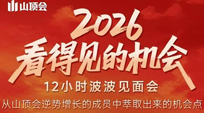 波波·2026看得见的机会12小时波波见面会(东莞线下课2月1日)-云推网创项目库