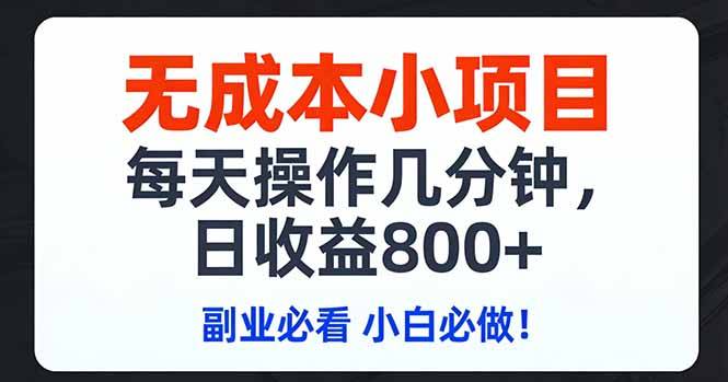 无成本小项目,每天操作几分钟,日收益800+ 副业必看 小白必做！-云推网创项目库